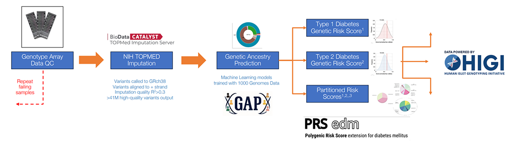 HIGI Pipeline
