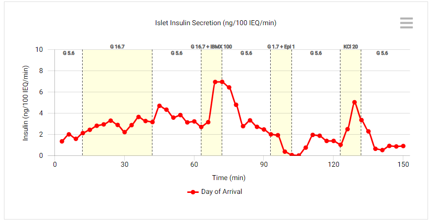 Insulin Secretion