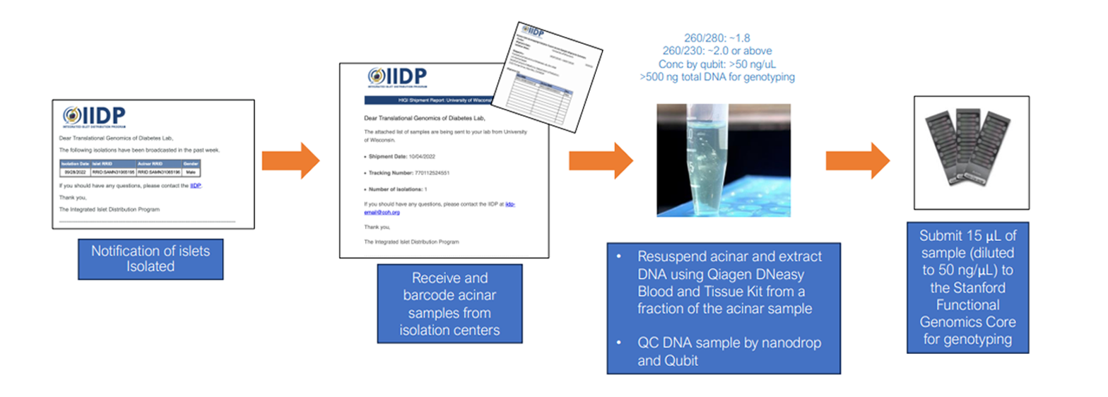 HIGI Pipeline Overview
